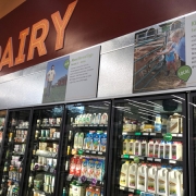 gtg-dairy